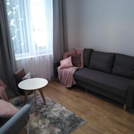 Apartament Joanna サノク エクステリア 写真