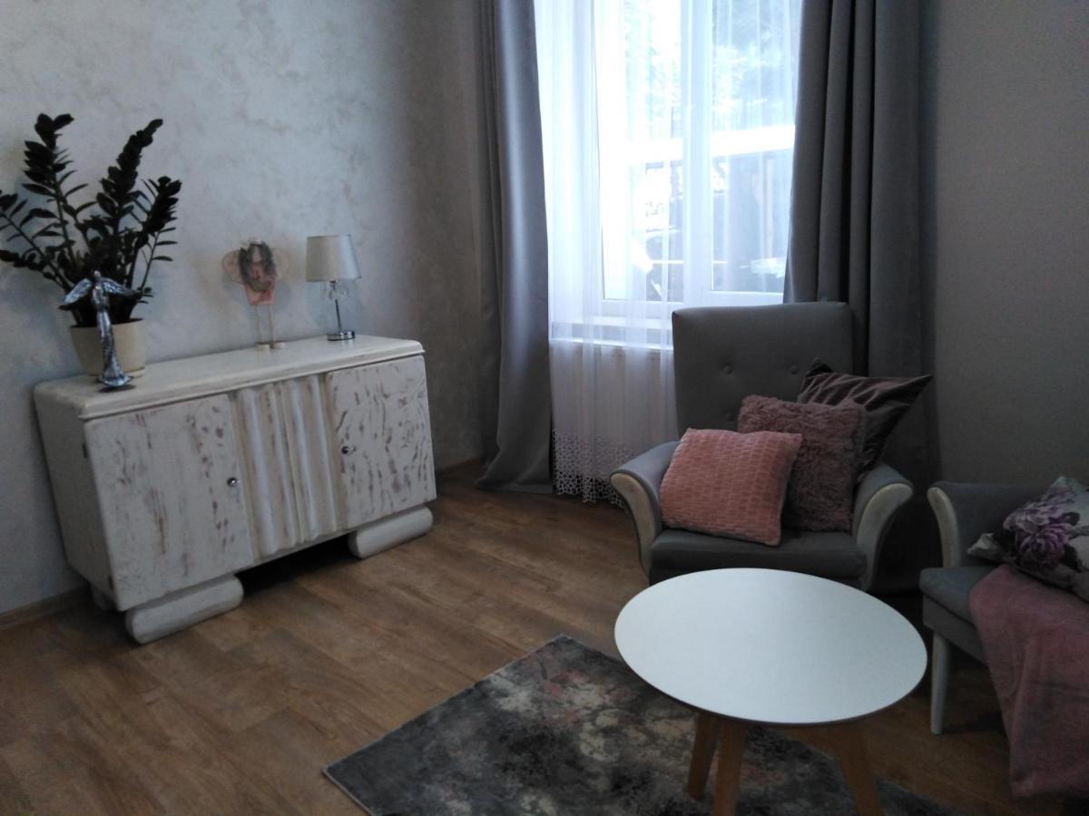 Apartament Joanna サノク エクステリア 写真